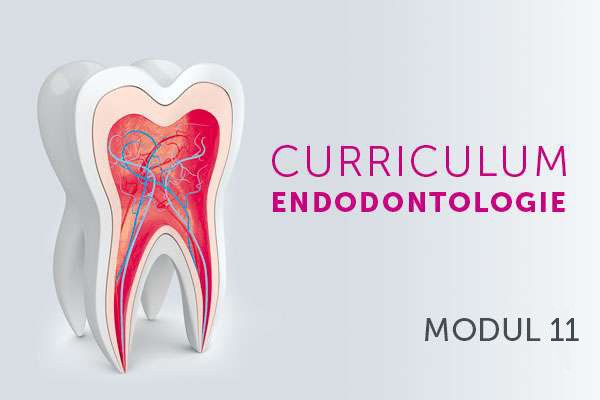 Die Abrechnung endodontischer Leistungen