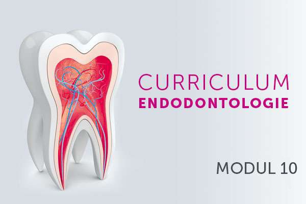 Dentale Traumatologie